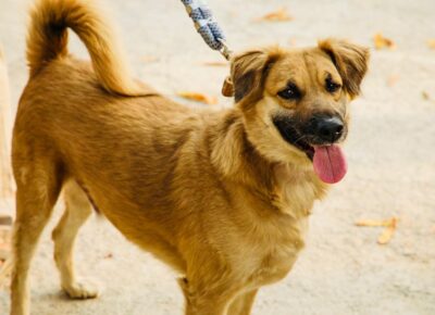 WhatsApp Image 2026-01-18 at 2.53.45 PM WhatsApp Image 2026-01-18 at 2.53.45 PM